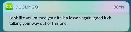 yamsnmac's tweet photo. @julia_mavhungu DuoLingo watching from the shadows because you didn’t finish lesson 7 https://t.co/hSARd0peHv