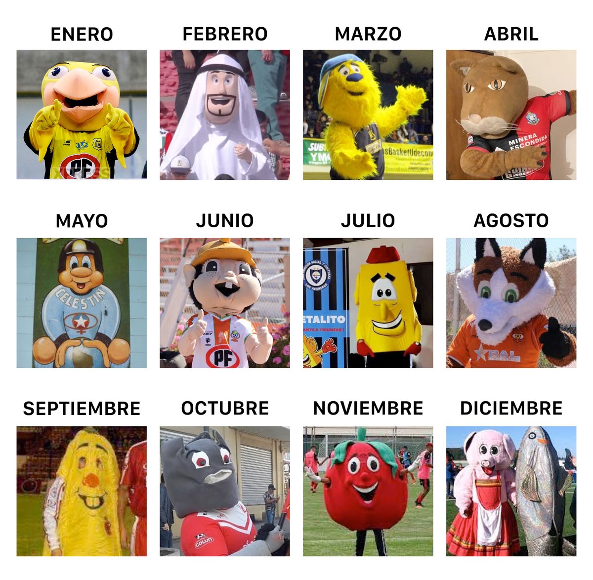 ¿Qué corpóreo del fútbol chileno eres según tu mes de nacimiento? 👇🏻