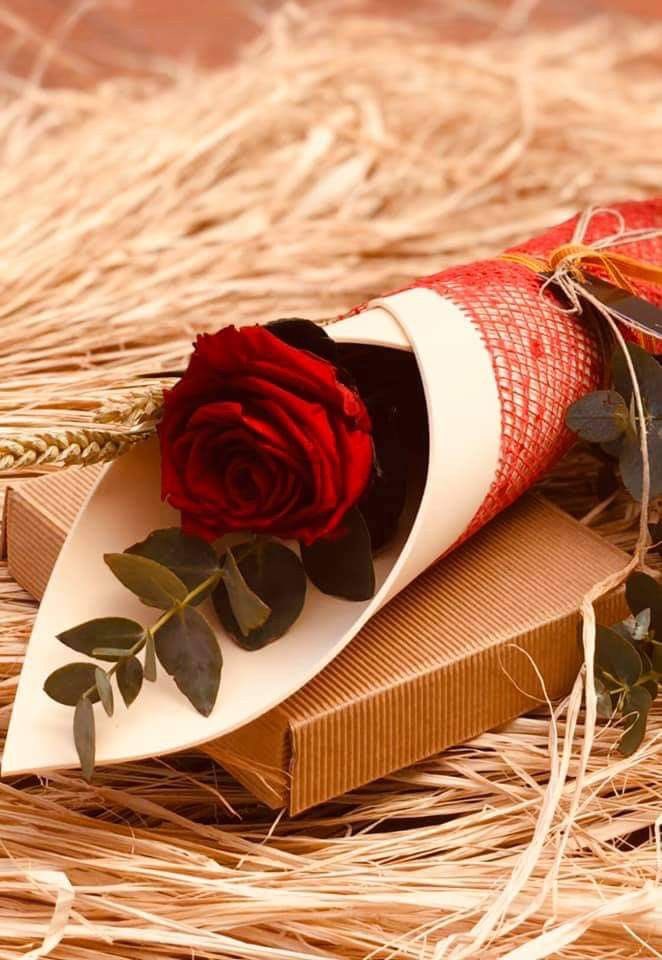elena7667's tweet photo. For you ❤️ https://t.co/za3VhJh2Iz