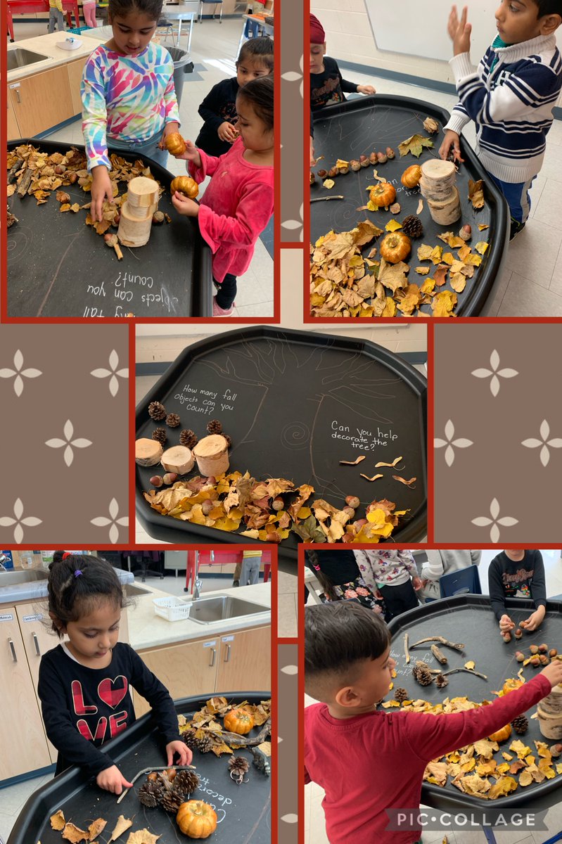 kindieroom103's tweet photo. We invited children to explore a fall provocation and we were excited to see them share their knowledge and learning of different aspects of fall such as animal homes, and changes in their environment. @rjlee_ps https://t.co/4c3PZ0bjjJ
