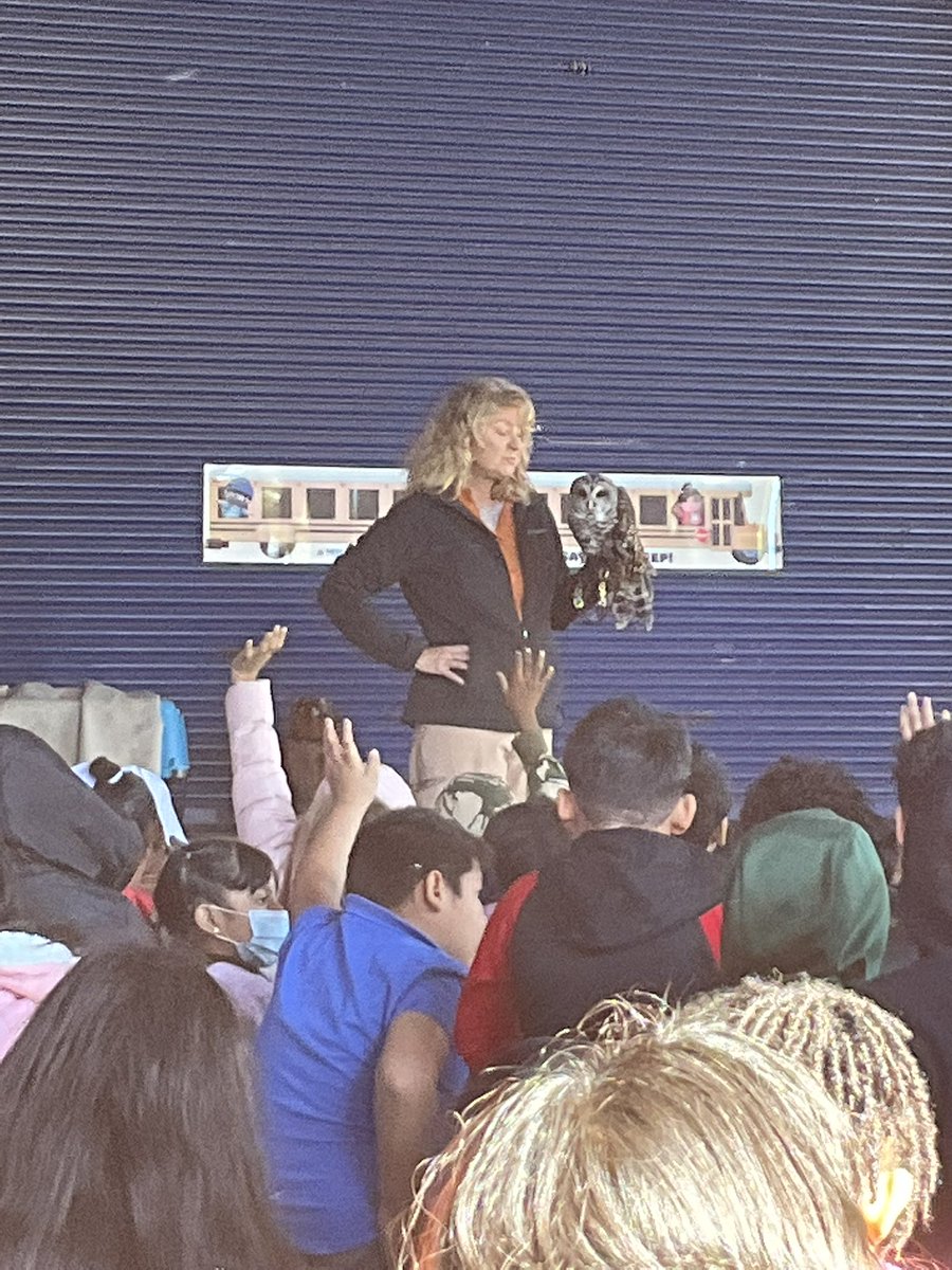 MNPS STEAM (@mnps_steam) on Twitter photo Glencliff Elementary 3rd grade students learning about life cycle from Owl’Hill. <a href="/MNPS_STEAM/">MNPS STEAM</a> <a href="/GlencliffSTEAM/">Glencliff Entrepreneurship STEAM ElemMagnet School</a> <a href="/owlshill/">Owl's Hill</a> Glencliff Elementary 3rd grade students learning about life cycle from Owl’Hill. <a href="/MNPS_STEAM/">MNPS STEAM</a> <a href="/GlencliffSTEAM/">Glencliff Entrepreneurship STEAM ElemMagnet School</a> <a href="/owlshill/">Owl's Hill</a>