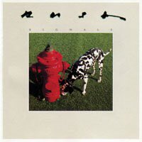 Rushfans tweet media