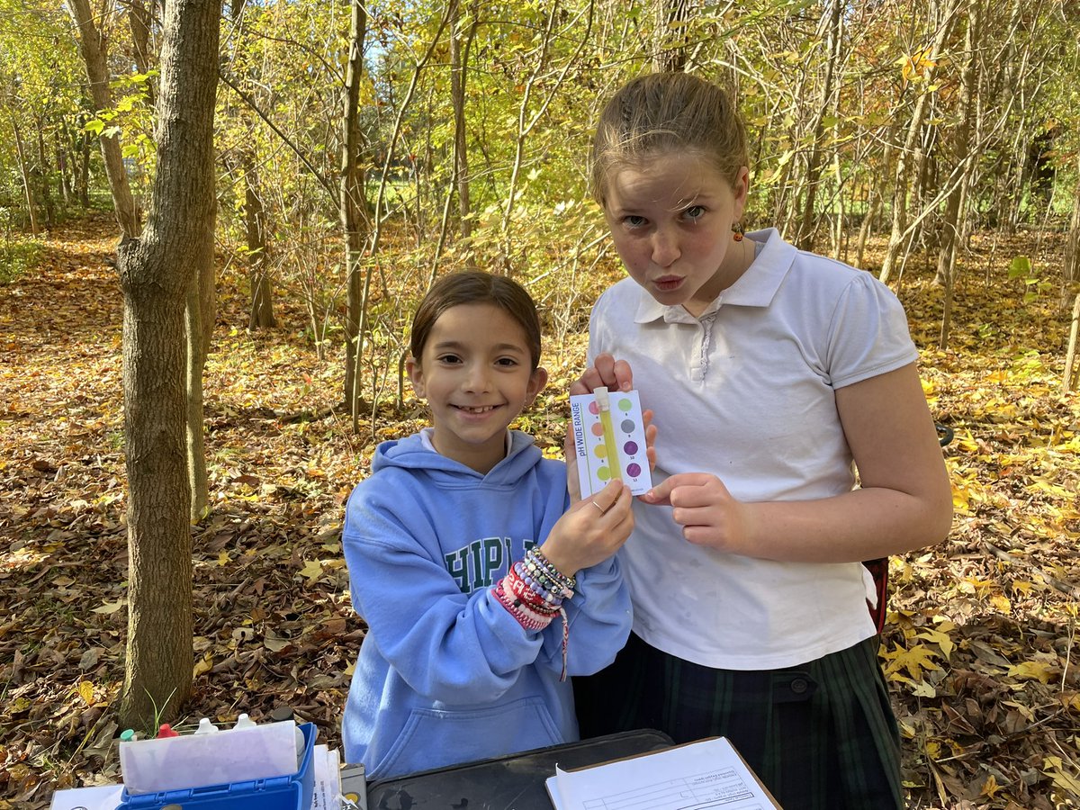 ddelduca tweet media