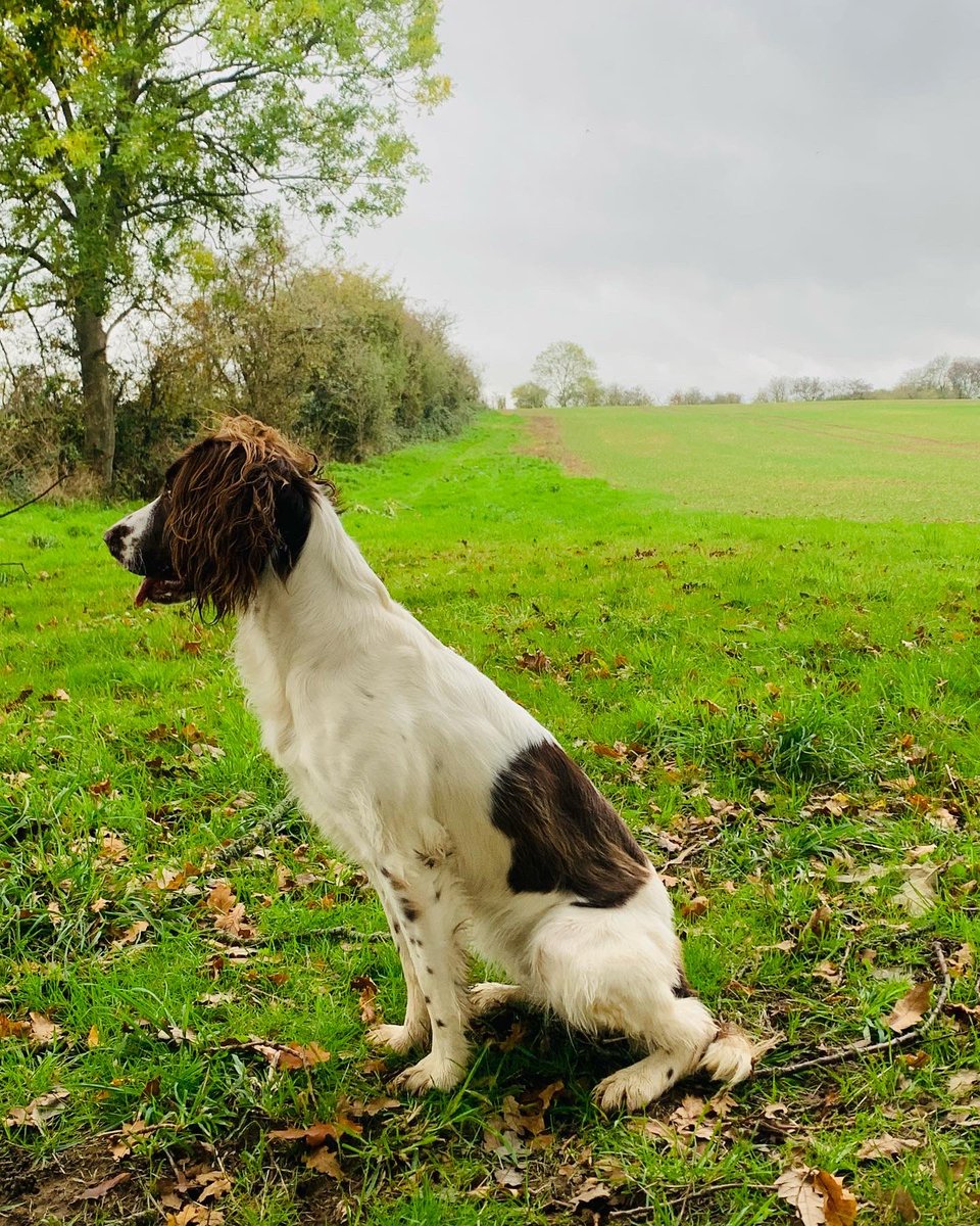 My working girl . 2nd shoot day