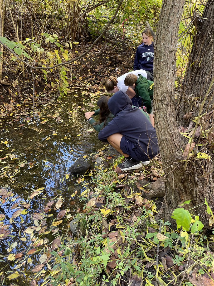 ddelduca tweet media