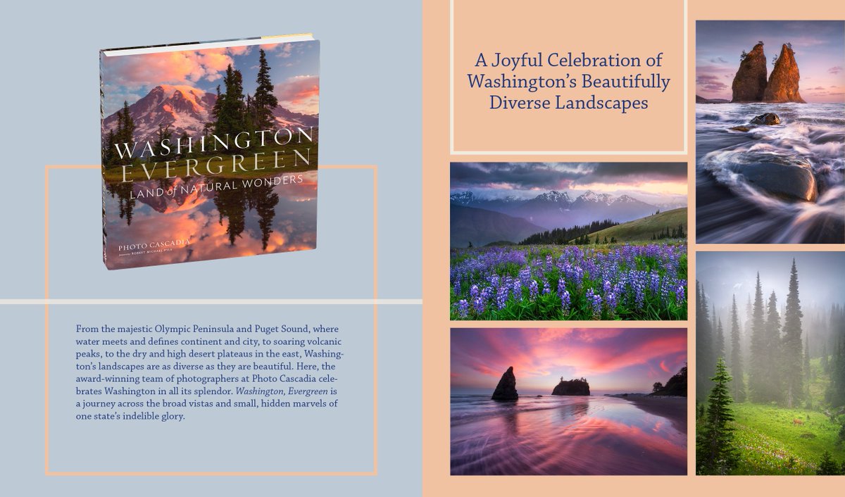 Sean Bagshaw tweet media