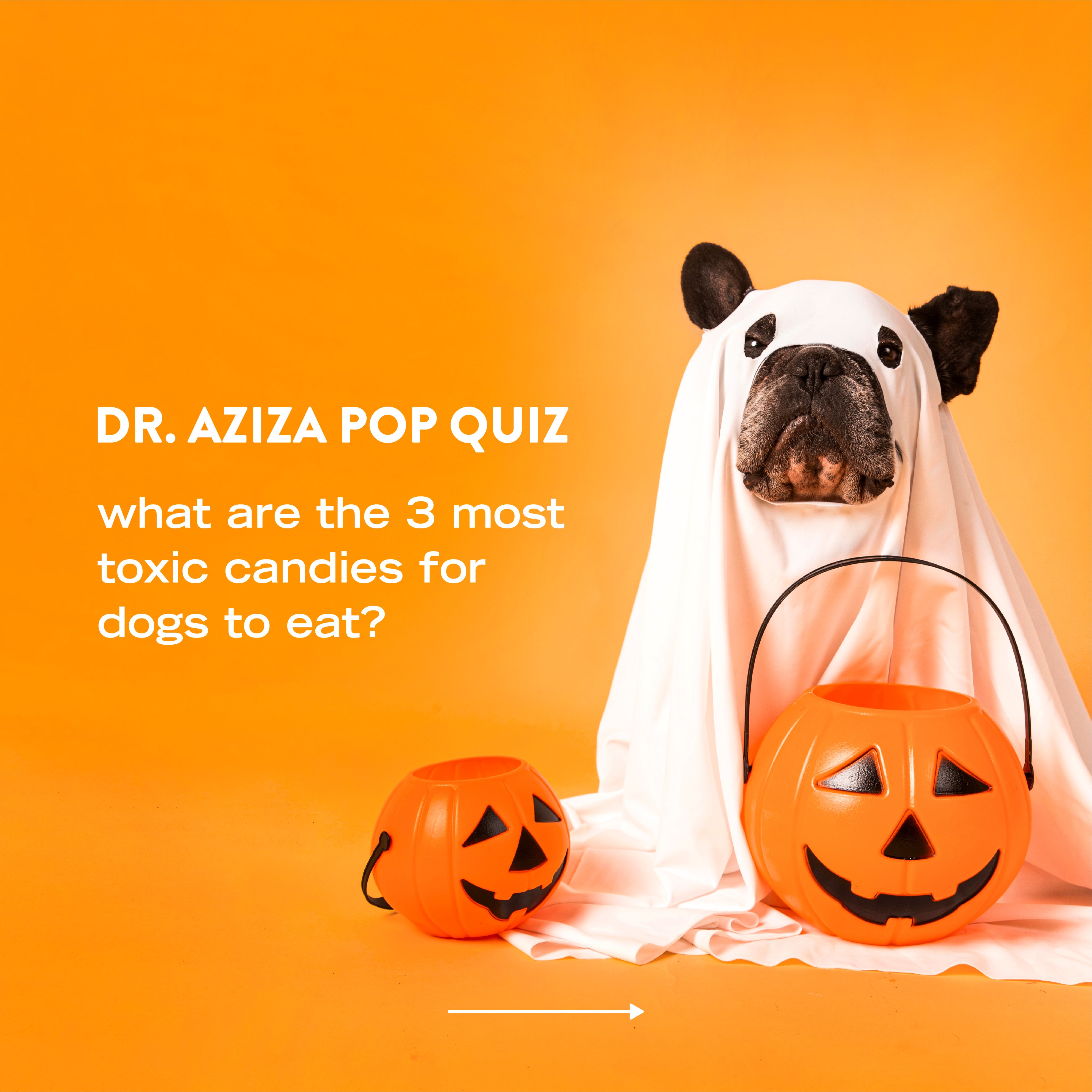 Freshpet (Freshpet) / Twitter