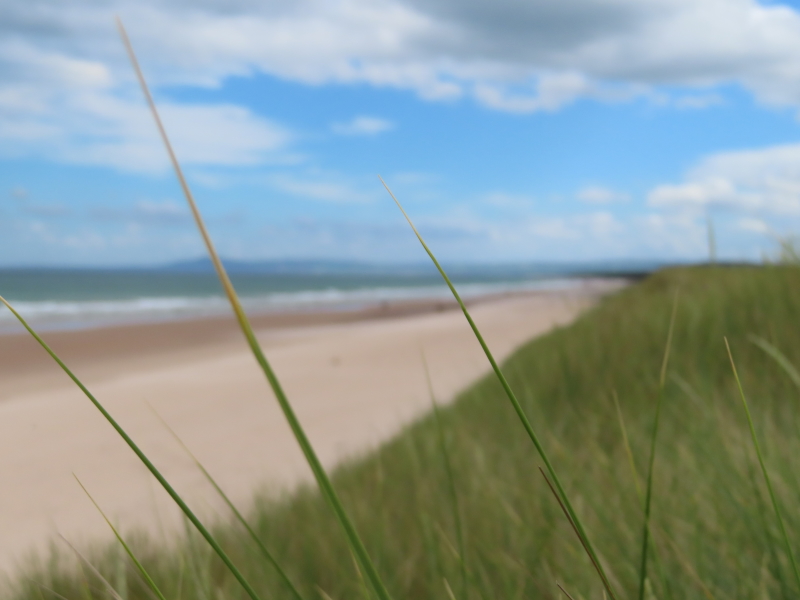 GrigorandYoung's tweet photo. Why granting a Power of Attorney does not mean giving up control of your own affairs https://t.co/NoAXggNyUG #Elgin #Forres #Moray https://t.co/ZqoCugMr16
