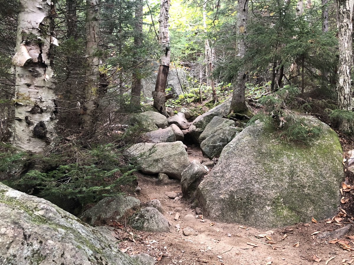 WhiteMountainNF's tweet photo. AMC partnered with prof trail builder Off The Beaten Path(OBP) to work onOld Bridle Path in Franconia Notch.Starting at boundary of @NHStateParks &amp; @WhiteMountainNF OBP AMC &amp; WMNF crews wrkd  on this part of Franconia Ridge Loop Trails Sustainability Project funded through 2026 https://t.co/XaU7Q2NnAH