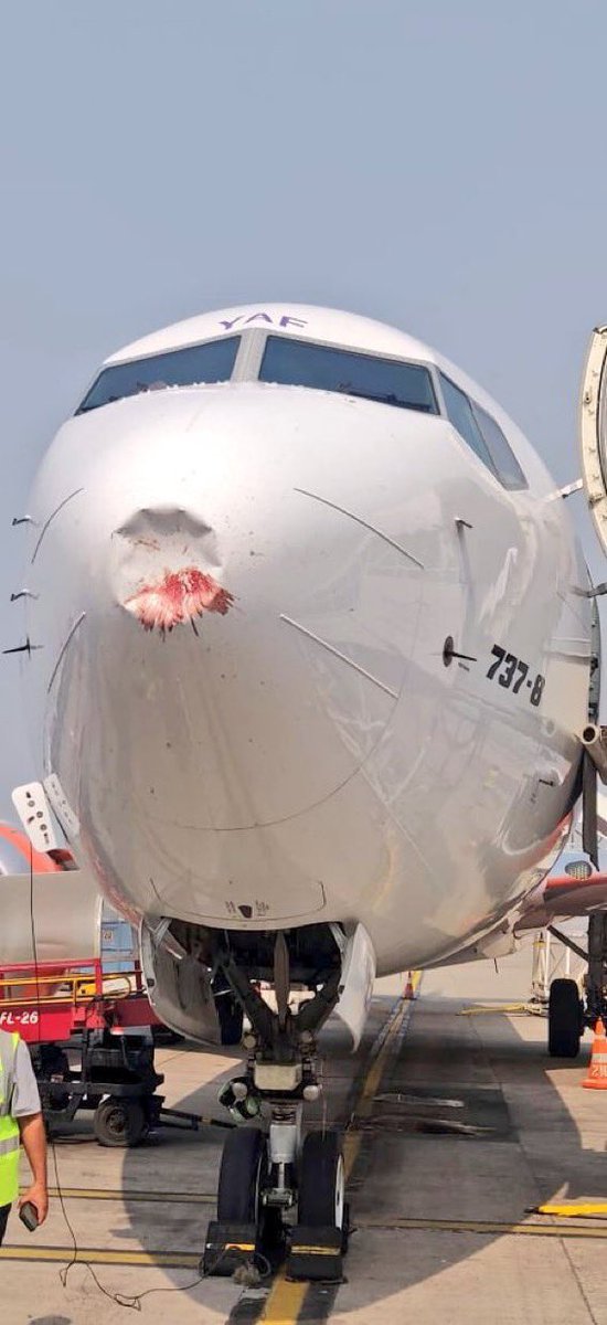 bowtiedpangolin's tweet photo. Be the plane. 
Not the bird. #flyhappy https://t.co/mqzUcd59nm