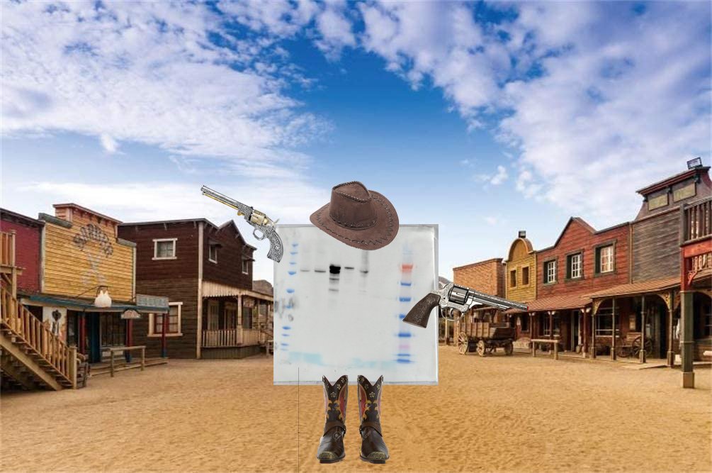 This town ain't big enough for the blot of us...