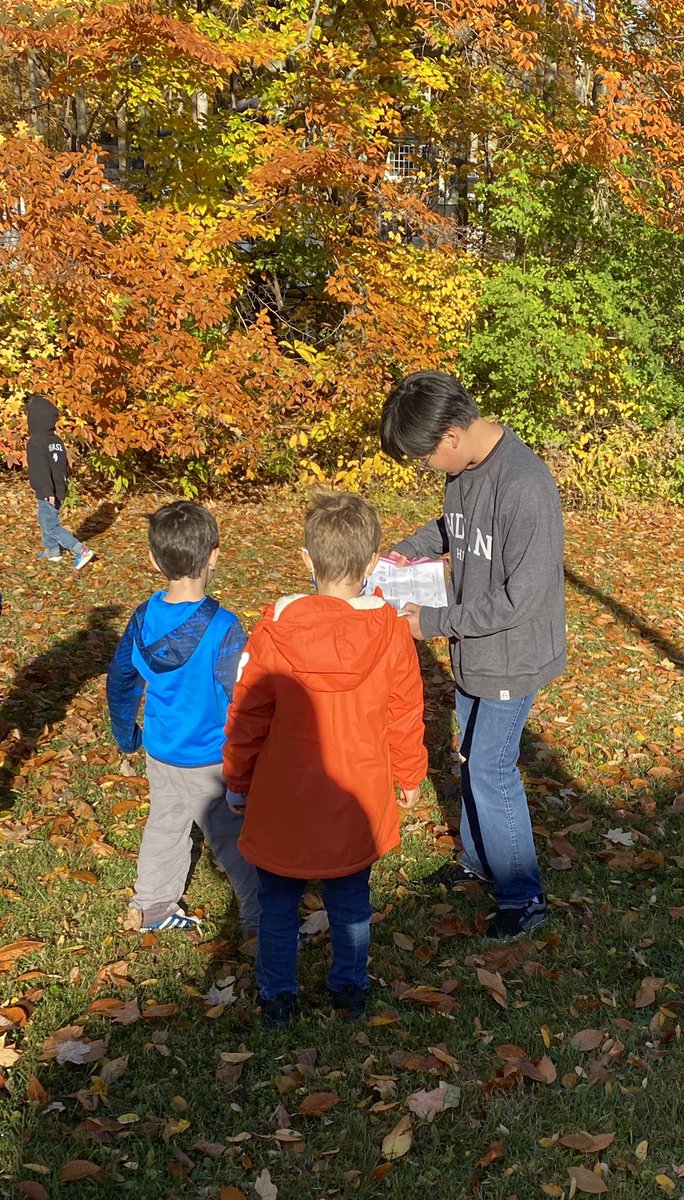 Mrs. Rottenberg's Class tweet media