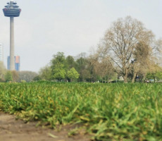 Lucio Marave’s pics and videos