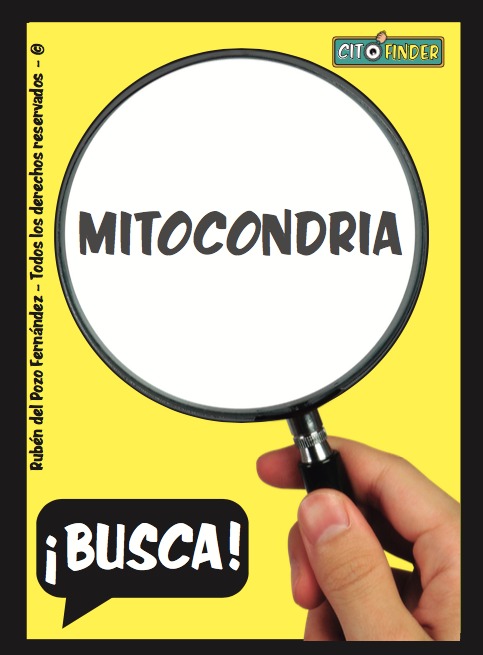 Biologia_OnLine's tweet image. ¡Ya tengo listo mi último #biojuego! El #CITOFINDER va sobre reconocer los componentes de la célula y es tan sencillo como adictivo 🤭. Nombra a quien pueda interesarle👇o haz RT. ¡Si este tweet alcanza los 500 likes y RT será tuyo y gratis! Os dejo un adelanto.