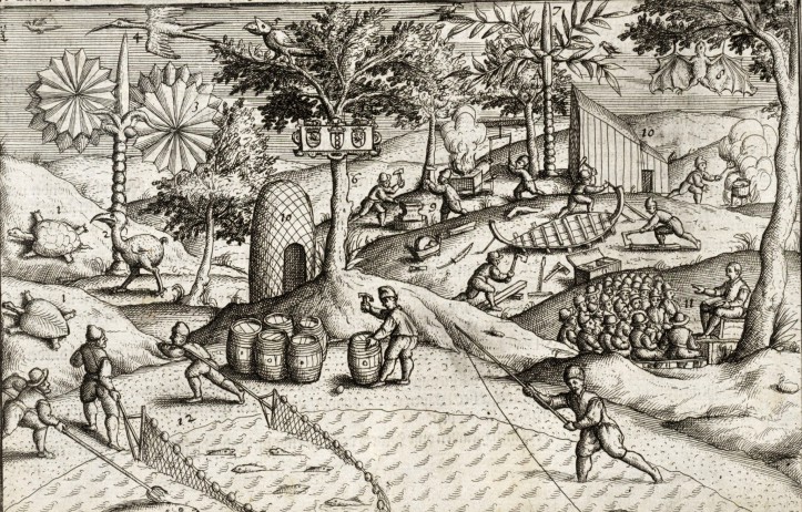 #DYK 

The Dark Flying fox (Pteropus subniger) also known as the Lesser Mascarene Flying-fox &amp; "Rougettes" went extinct between 1864 and 1873.

It was ~130 g in size, fed on nectar &amp; fruits &amp; roosted in tree hollows.

Deforestation and hunting were main threats.

#BatWeek