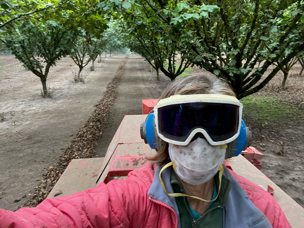 Oregon Hazelnuts tweet media