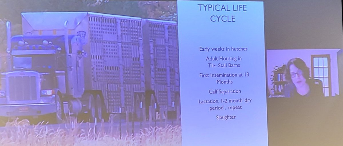 nicolas_lamp's tweet photo. Jessica Eisen (@UAlberta) redirects attention from international trade rules to the producers of milk: the cows.
A sobering look at the emotional life and depressing life cycle of cows.
#CCILConference https://t.co/roZIhzoe0T