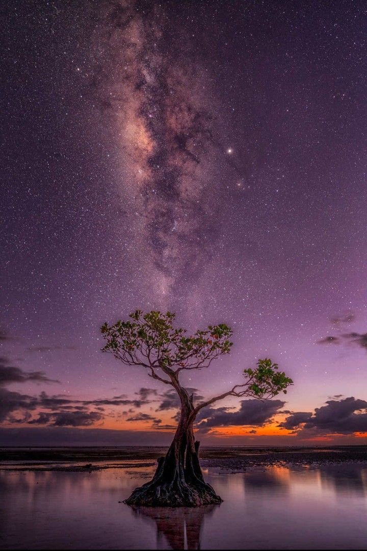 MARY_ESMAEELI's tweet photo. 💜
Ｇｏｏｄ    ｅｖｅｎｉｎｇ

#nature #photooftheday https://t.co/lxWPiCoRbj