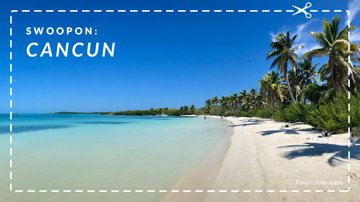 FlySwoop tweet media