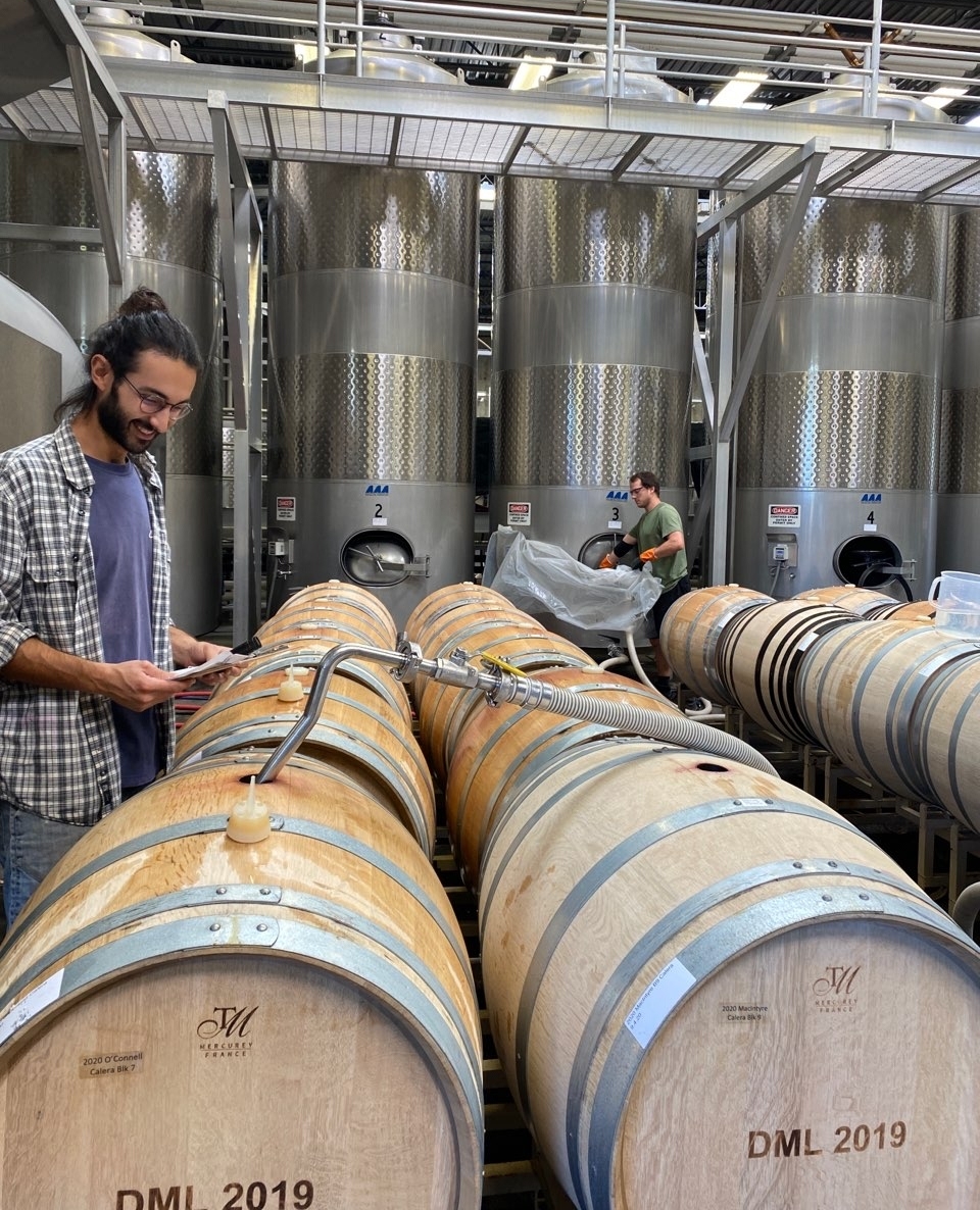 DuMOL Winery tweet media
