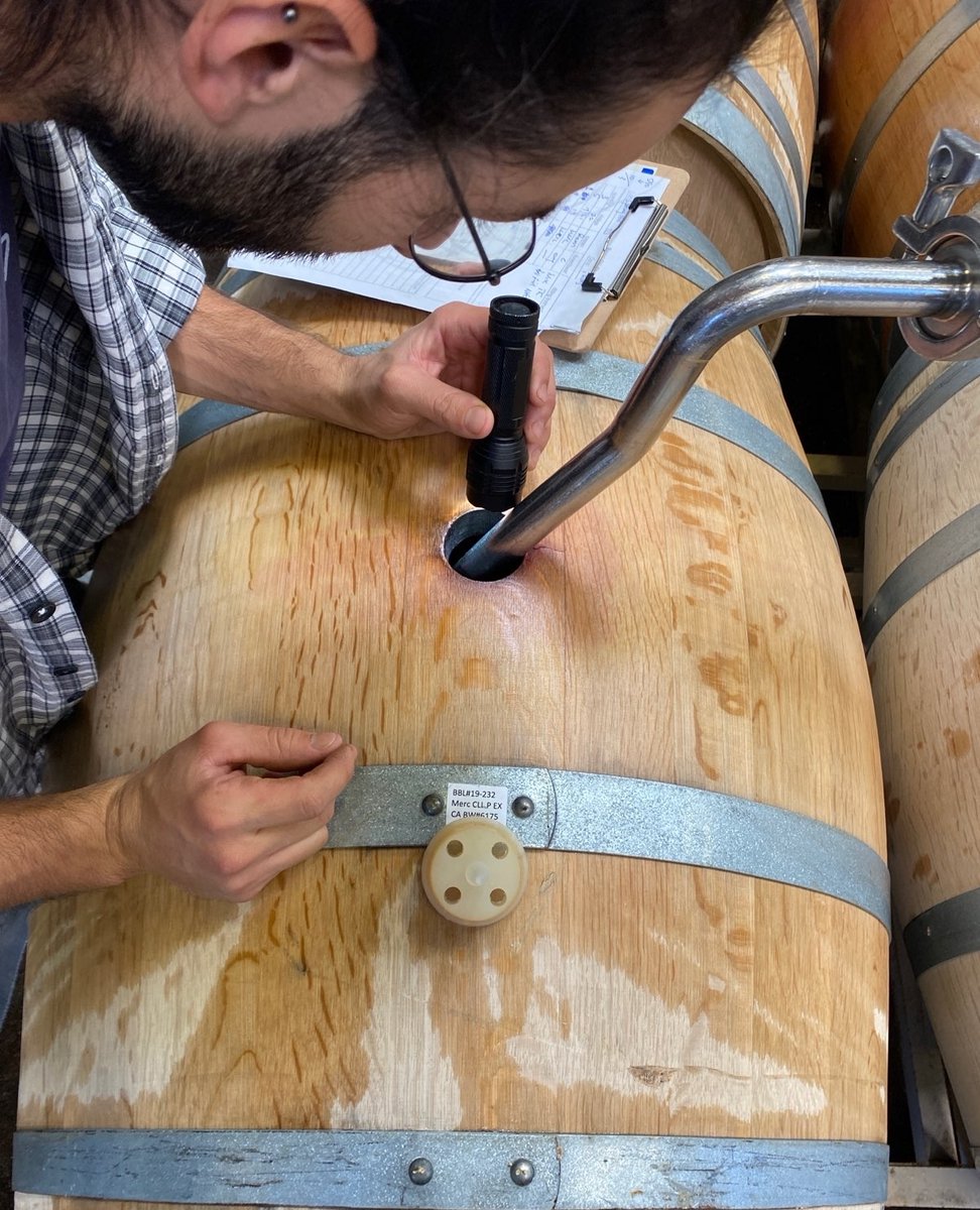 DuMOL Winery tweet media