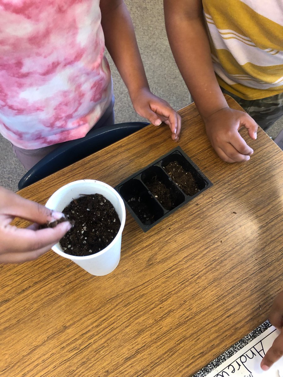 RuthMarch4's tweet photo. My students are LOVING our new Twig Science lessons. We planted our seeds a month ago and our plants are doing so well. One of my students said, “Whenever I see our plants growing bigger it makes me want to cry.” #teamBCSD https://t.co/18c27qT16Y