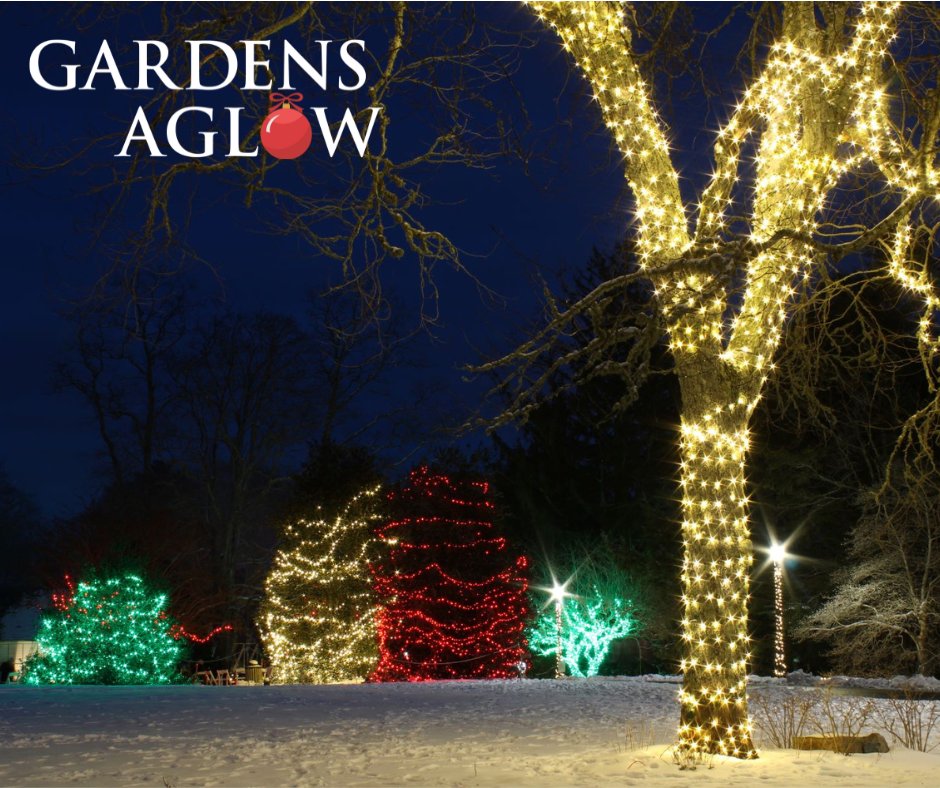 Gardens Aglow is selling out fast! There are only a handful of dates and times left to purchase. Don't wait!
To purchase, please visit hmg.social/GardensAglow
