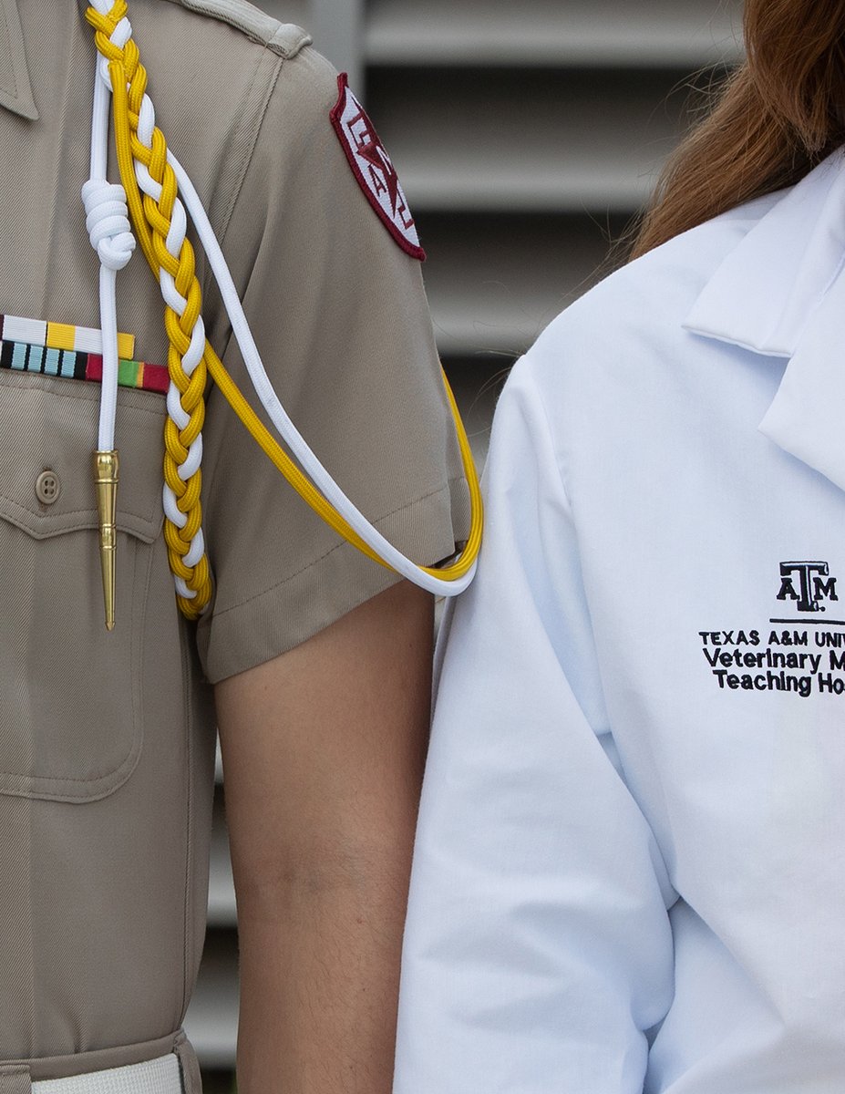 Tweet by Texas A&M VetMed
