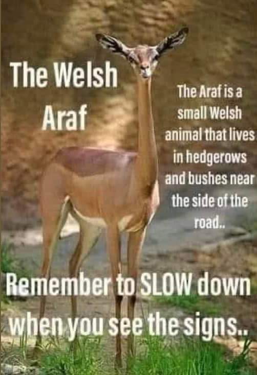 𝙺𝚎𝚣 🍂 (@goleudy) on Twitter photo 