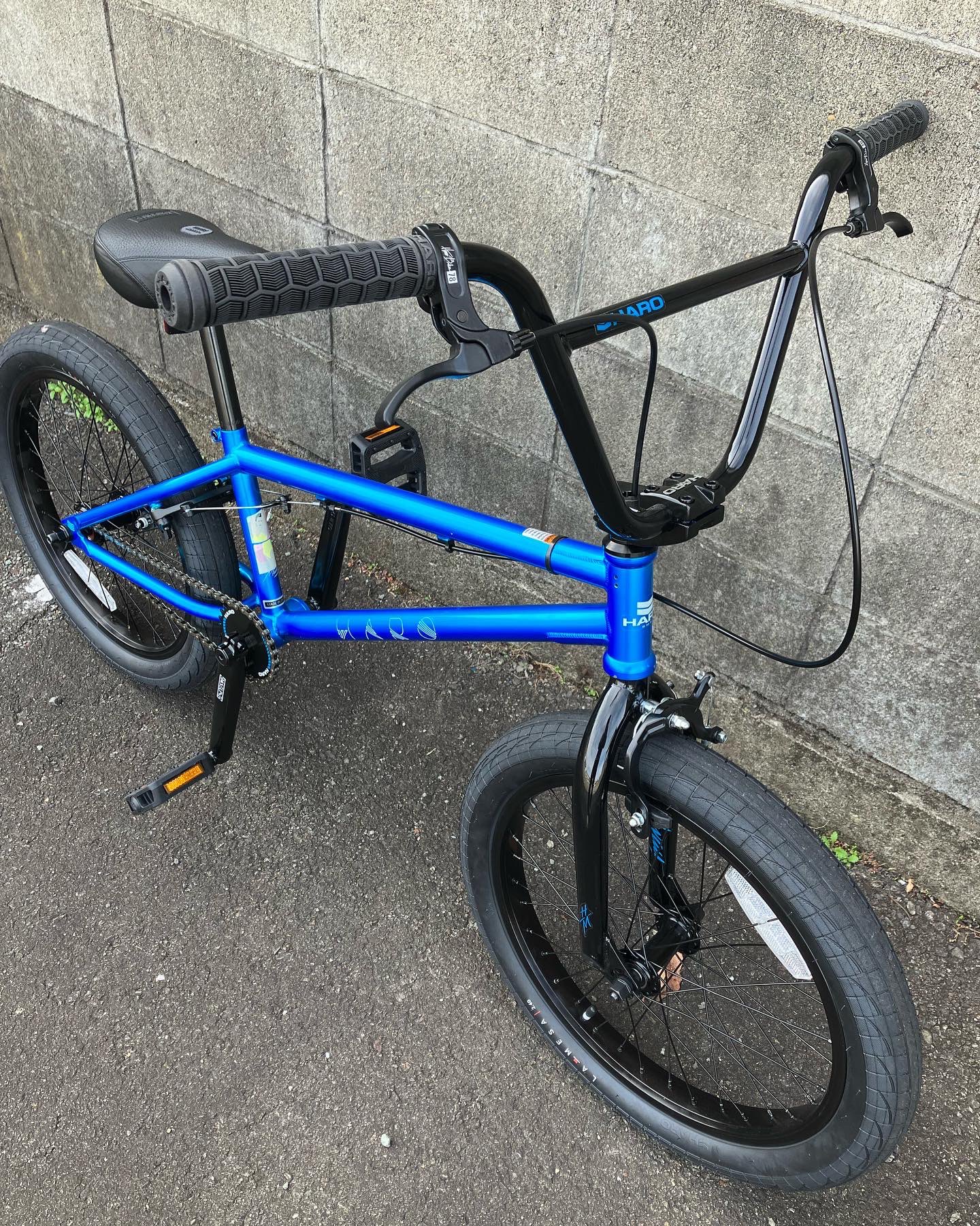 BMX FITフリーコースター　rui FIT 2023年 STR FC 20.5