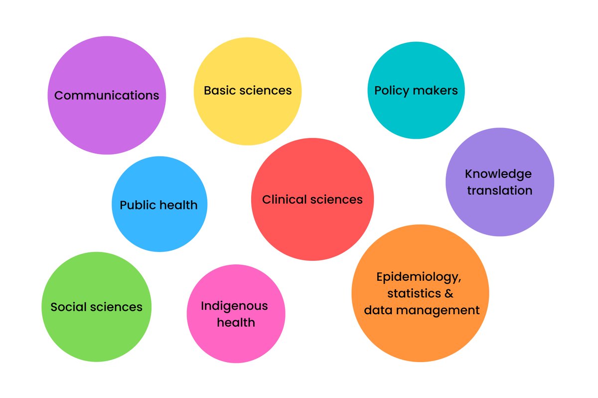 Who are we? We are a transdisciplinary team working together to make things happen!
These are our areas of expertise.
Stay tuned to meet the team!