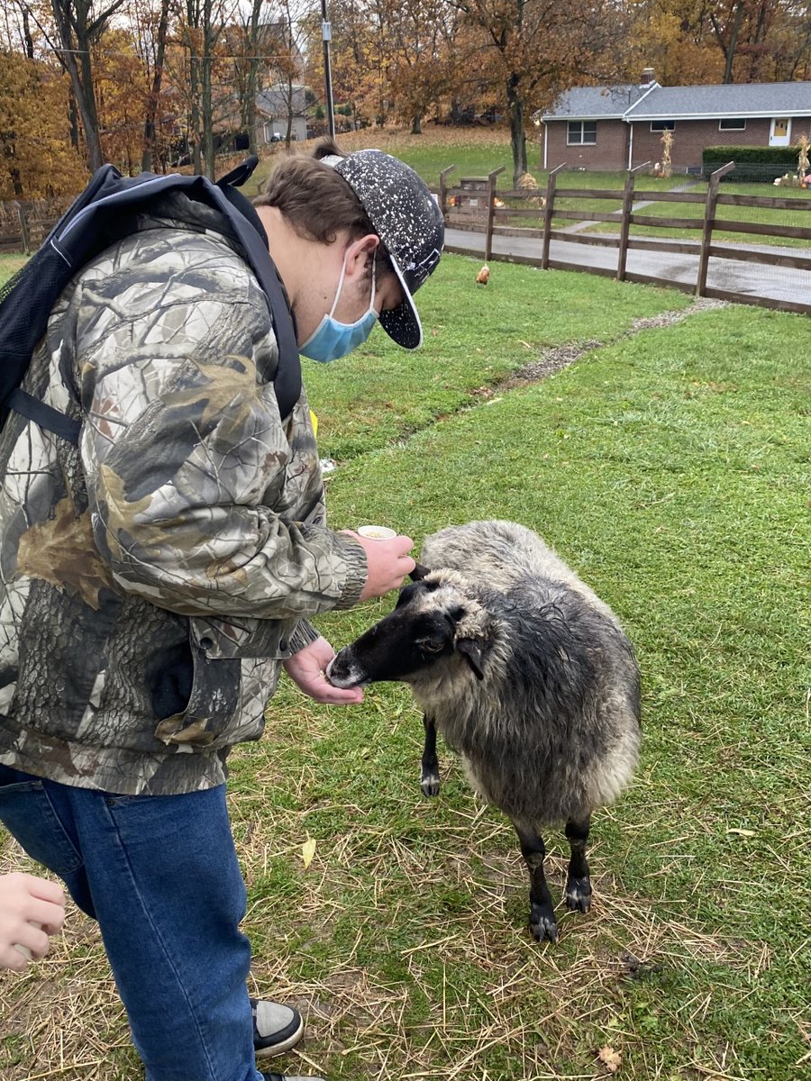 IU1Tweets's tweet photo. The #IU1 Campus at Waynesburg Life Skills/Autistic Support Program recently took a field trip to Simmons Farm. The students even got to bring home the pumpkins they picked from the pumpkin patch! ππ
#intermediateunit1 #October @DonMartinIU1 @Kristin_SzIU1 @JennyLentIU1 https://t.co/pzuYvJLk7Y
