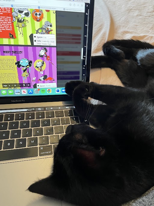 In honour of #NationalBlackCatDay here's our development coordinator's pet Jiji taking a special interest in one of our upcoming projects ... @threewiseentertainment #ghostscouts