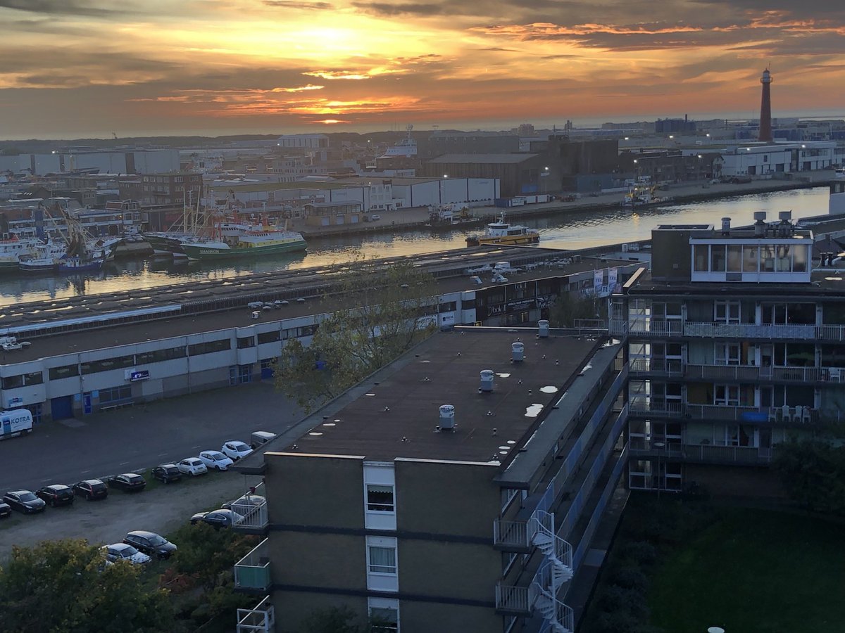 Ron Davio tweet media