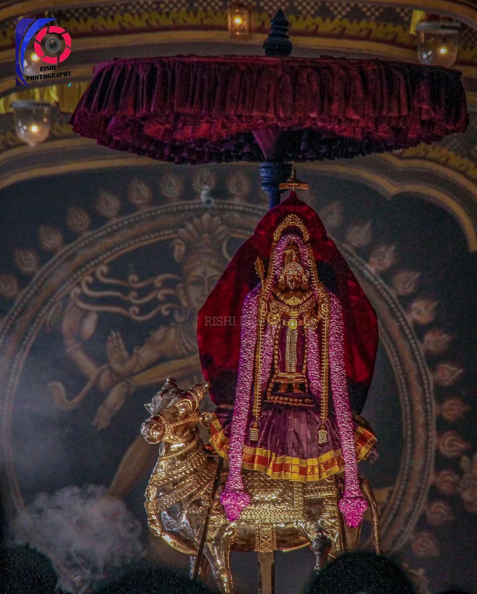 NallurTemple's tweet photo. 🙏🏼 #ௐ #முருகா #நல்லூர்முருகன்துணை  #நல்லூர்கந்தன்துணை #நல்லூர் #யாழப்பாணம் #Nallur #Jaffna #SriLanka #Worship https://t.co/LKfKsMcLIw