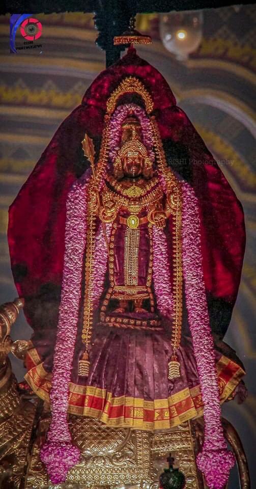 NallurTemple's tweet photo. 🙏🏼 #ௐ #முருகா #நல்லூர்முருகன்துணை  #நல்லூர்கந்தன்துணை #நல்லூர் #யாழப்பாணம் #Nallur #Jaffna #SriLanka #Worship https://t.co/LKfKsMcLIw