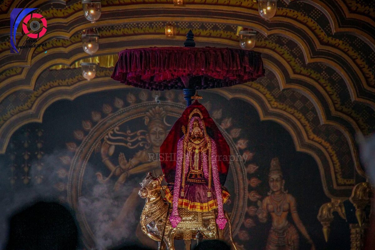 NallurTemple's tweet photo. 🙏🏼 #ௐ #முருகா #நல்லூர்முருகன்துணை  #நல்லூர்கந்தன்துணை #நல்லூர் #யாழப்பாணம் #Nallur #Jaffna #SriLanka #Worship https://t.co/LKfKsMcLIw