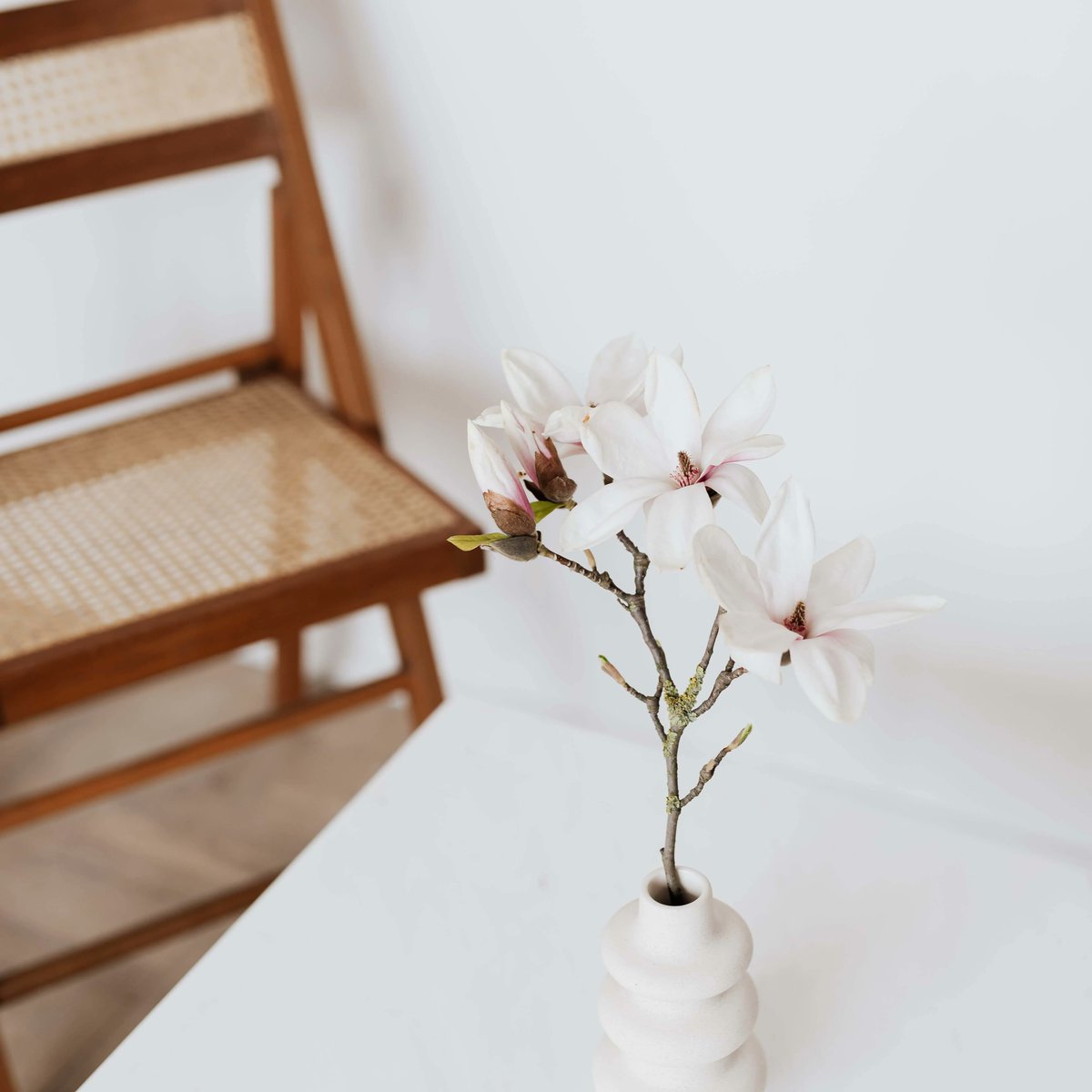 missing the spring blossom
photo credit: Karolina Grabowska
.
.
.

#flower #flowerdecoration #blossom #springblossoms #scent #inspiration #aesthetic #mood #moodboard #thinkpackage