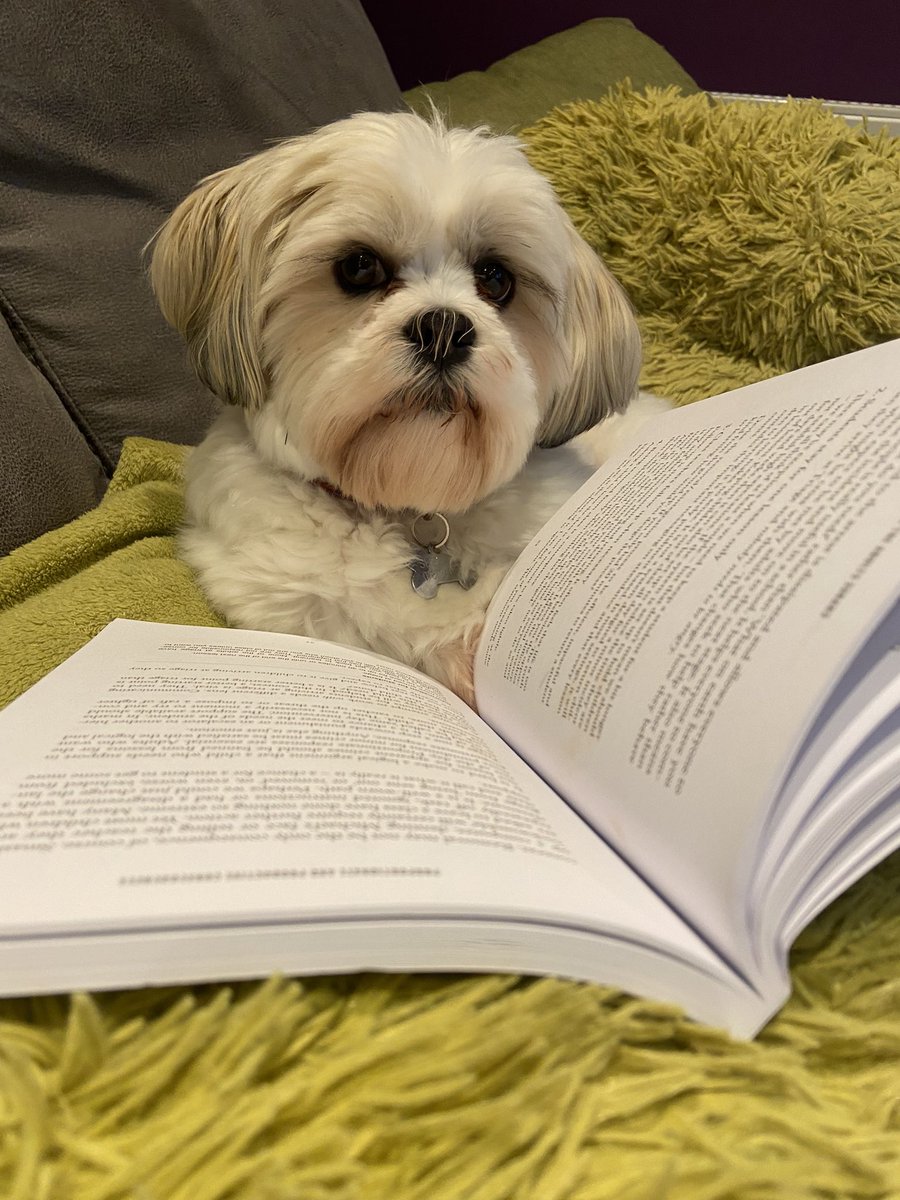 HuntingtowerPHS's tweet photo. Rosie and Nelly the @HuntingtowerPHS hounds #phscaughtreading for @PHS_Interhouse house points ! #regiwars @PHSLibrary6 #weAREphsreaders @PerthHighSchool https://t.co/nU22BgOU0E