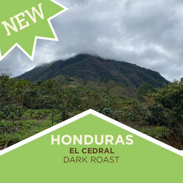 TinyFootprintCoffee tweet media