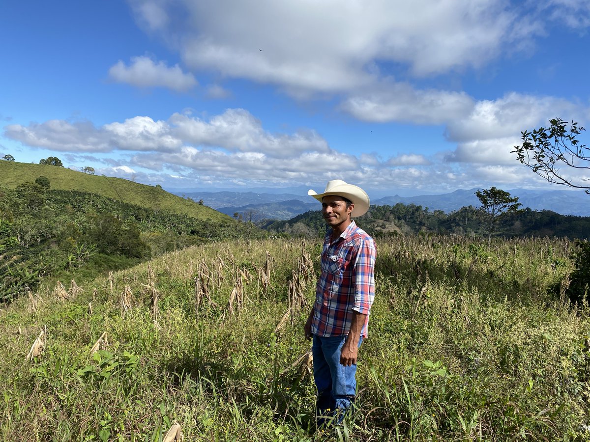 TinyFootprintCoffee tweet media