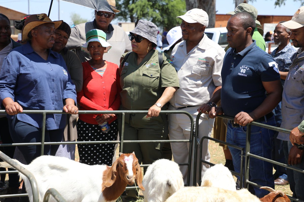 nwpg_dard's tweet photo. while 30 farmers received bulls to improve production and the quality of their livestock. @NWK_Group https://t.co/WmwjQQDEuW
