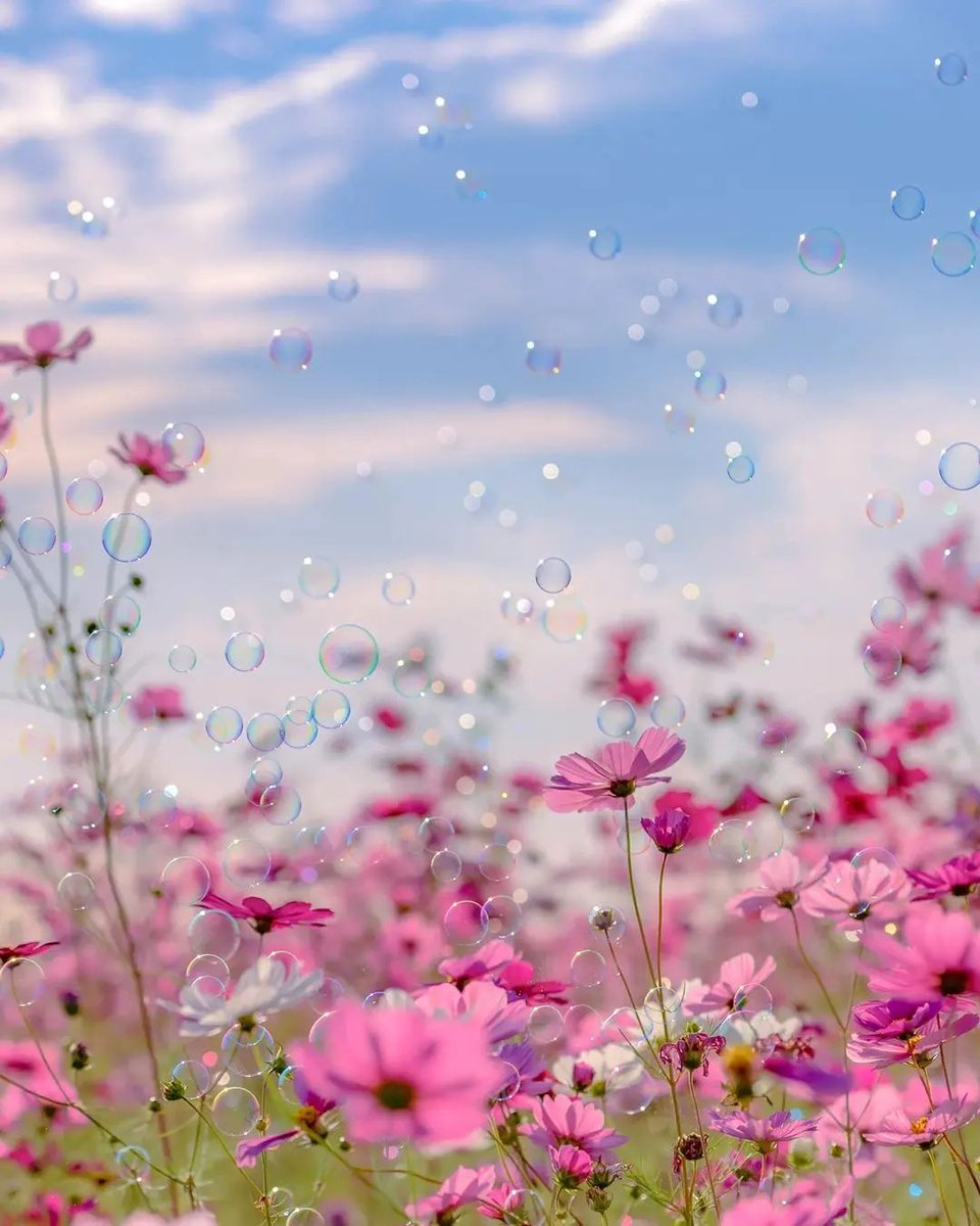 osalgado999's tweet photo. ¡Buenos días!
¡Feliz Jueves!
Que tu camino de hoy esté lleno de amor, gratitud y esperanza. Que las desilusiones hayan quedado bien atrás y solo tengas por delante cosas positivas. https://t.co/AtL9l6o1vB