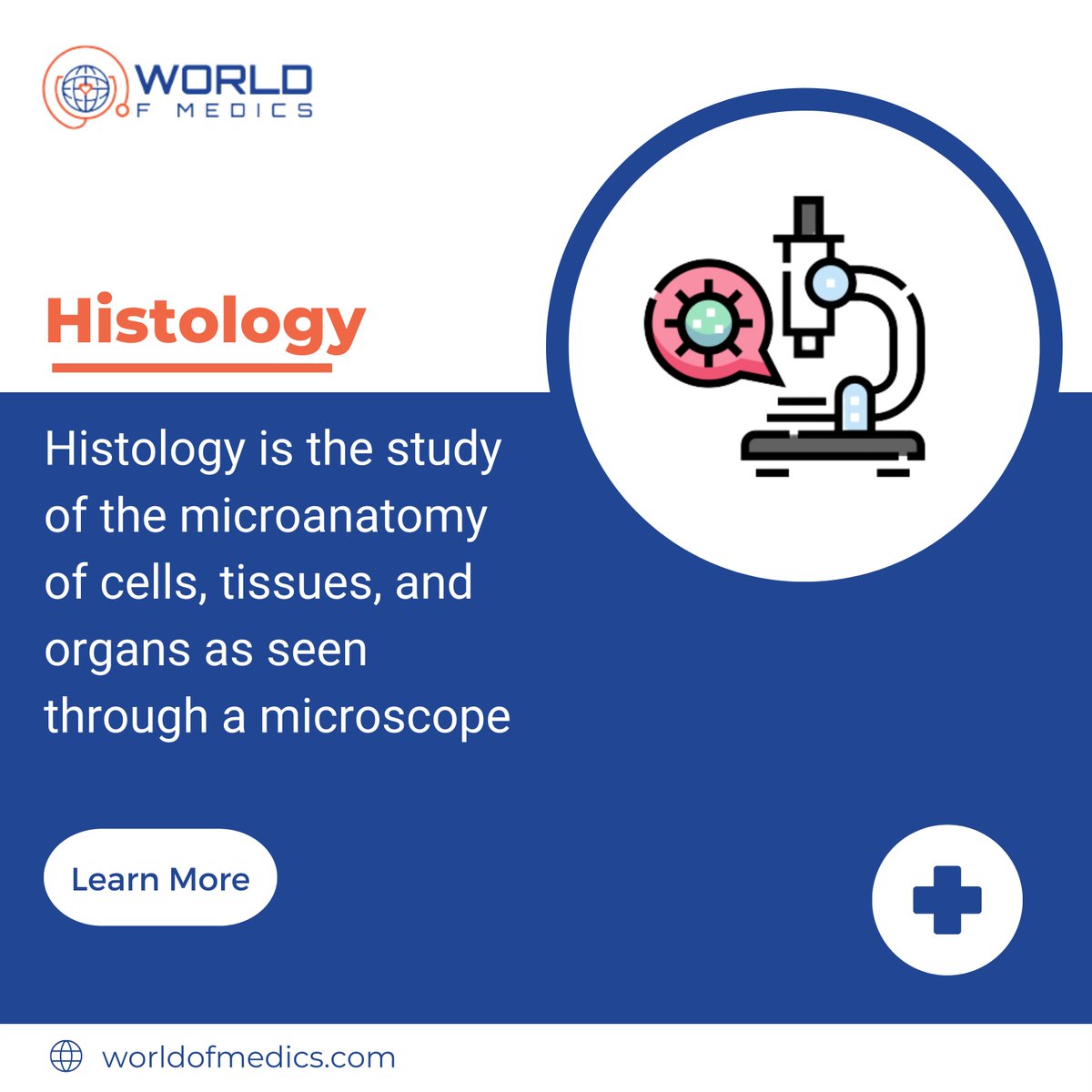 Histology is the study of the microanatomy of cells, tissues, and organs. In light microscopy cell structure is revealed when a specimen is viewed with a magnifying lens.

#WorldofMedics #MedicalTutorials #HumanBody #Doctor #Medic #Nurse #MedicalStudent #MBChB #MD #MBBS #Medicine