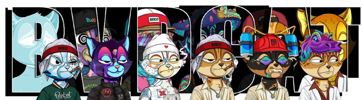 SoSo (Future) tweet media