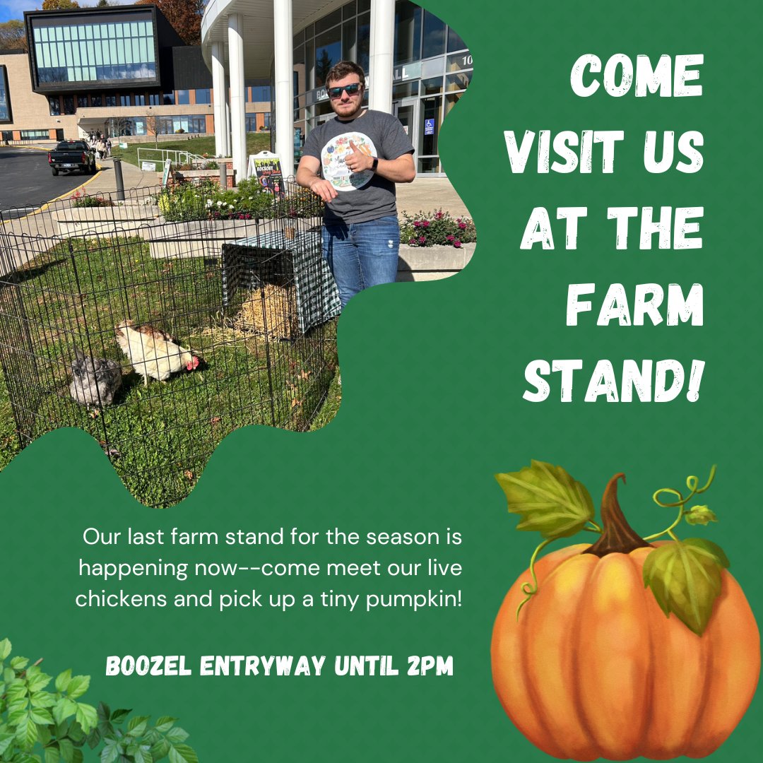 Last chance of the season to visit our on-campus farm stand at Boozel! Get ready for Halloween with some mini-pumpkins!
To celebrate the end of the season, we've brought some of our chickens for you to meet!
#sustainability #SRU #macoskeycenter #chickens