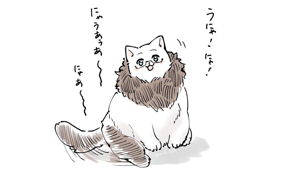 なにか話しかけてくる猫 