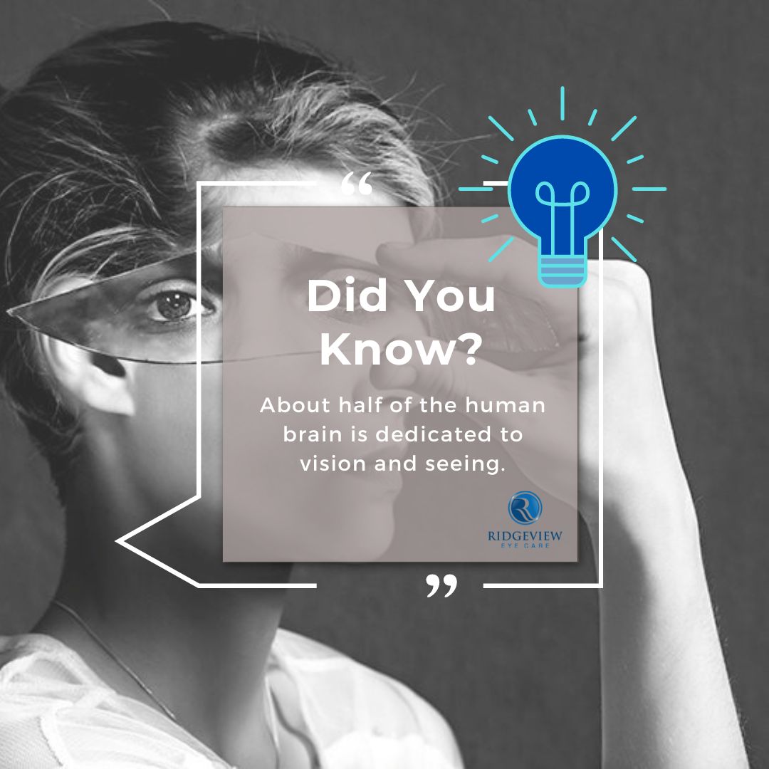 FOTD! #eyes #optometry #KCMO #eyedoctor #funfact