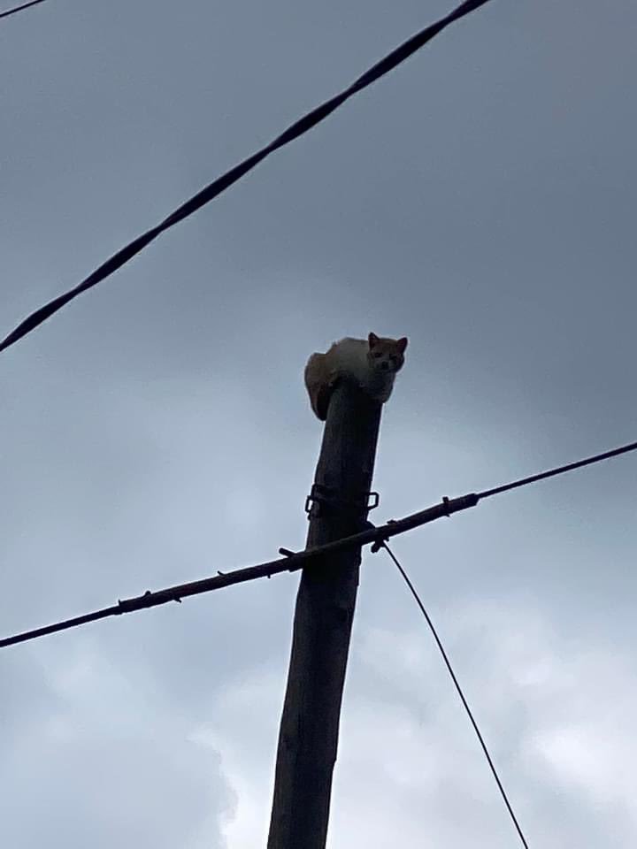 out of context madeira (@outmadeira) on Twitter photo 