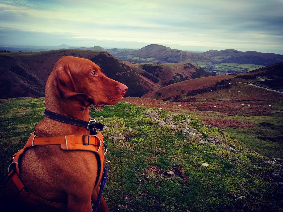 Benjamin Ranyard tweet media